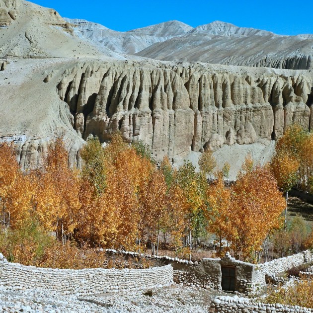a rocky landscape with trees in the foreground and mountains in the background