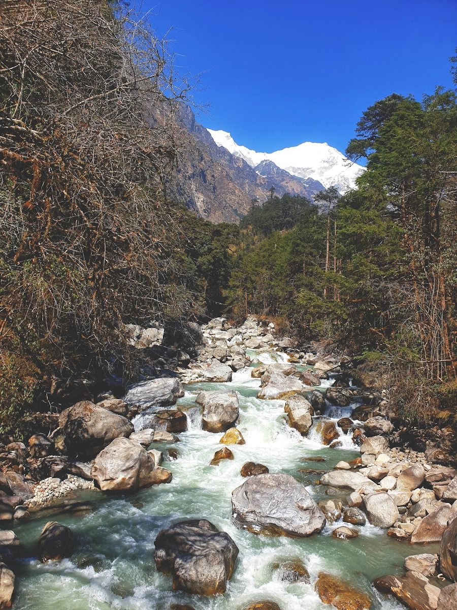 langtang river